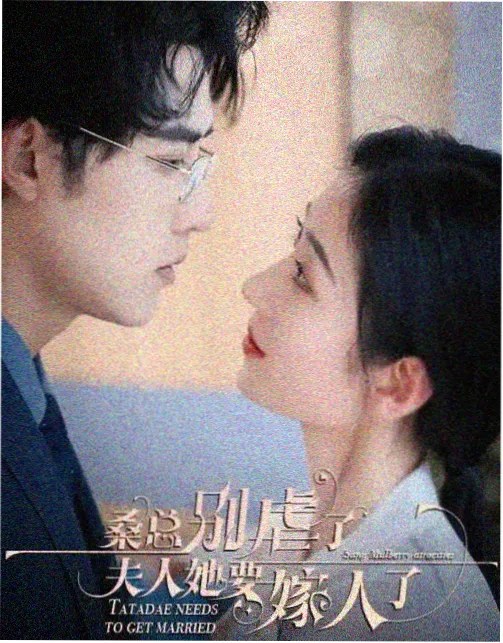 森林里的熊先生 特别篇